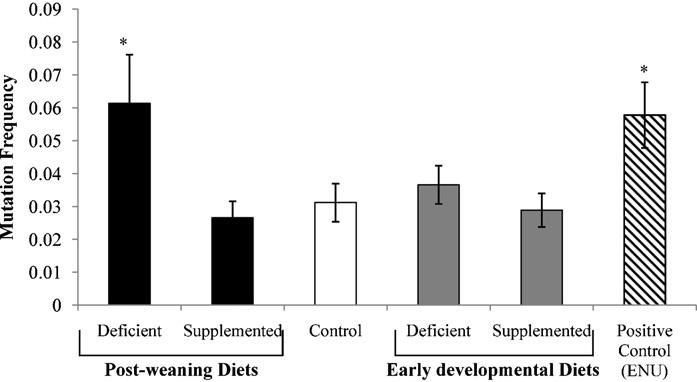 اثر اسید فولیک غذایی بر تعداد اسپرم، آسیب DNA